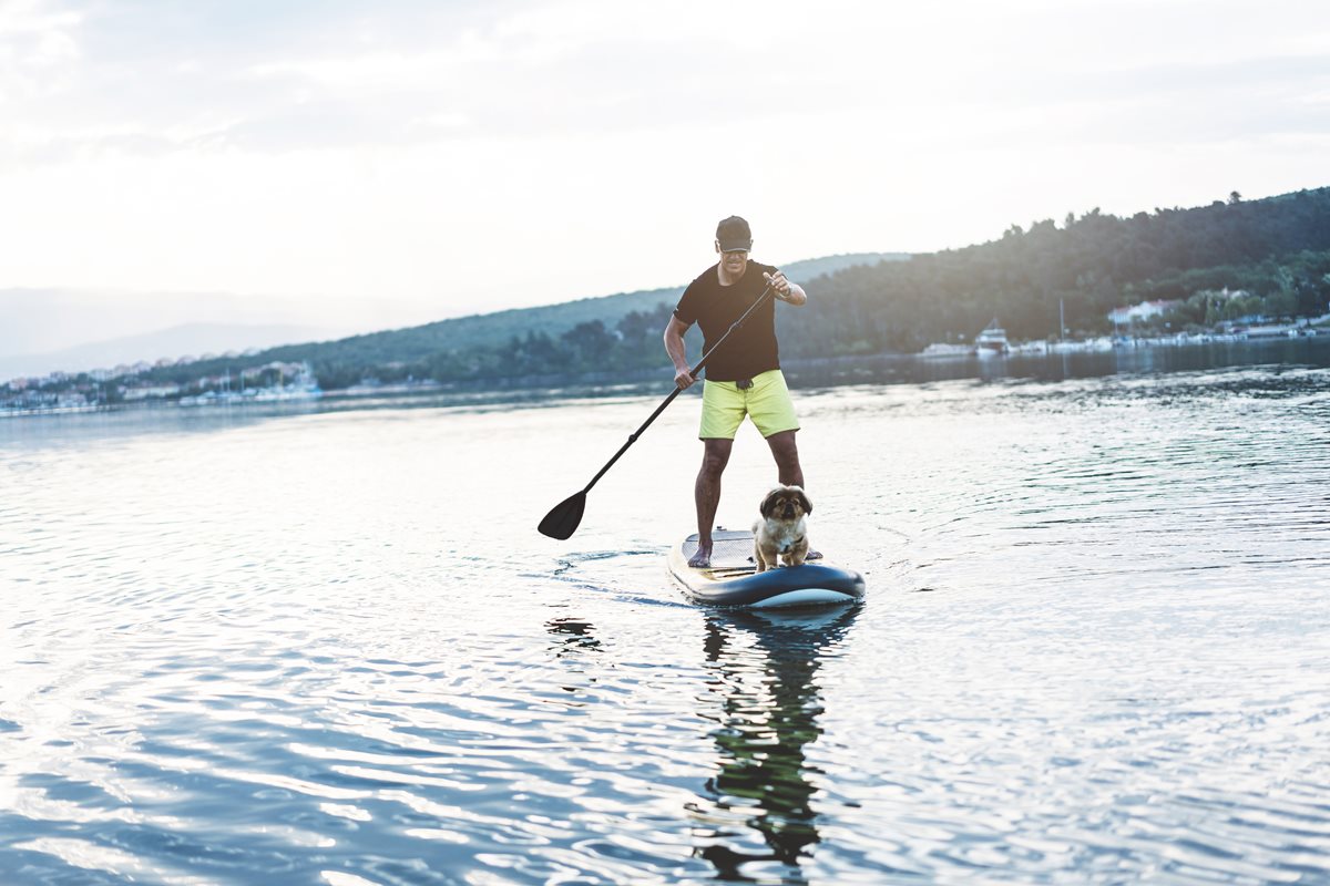 Standup paddleboarding - Fuengirola