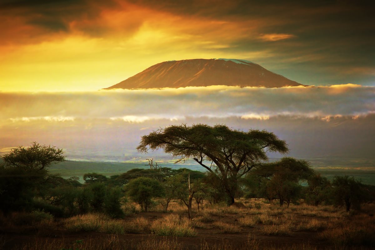 Amboseli - Kenya