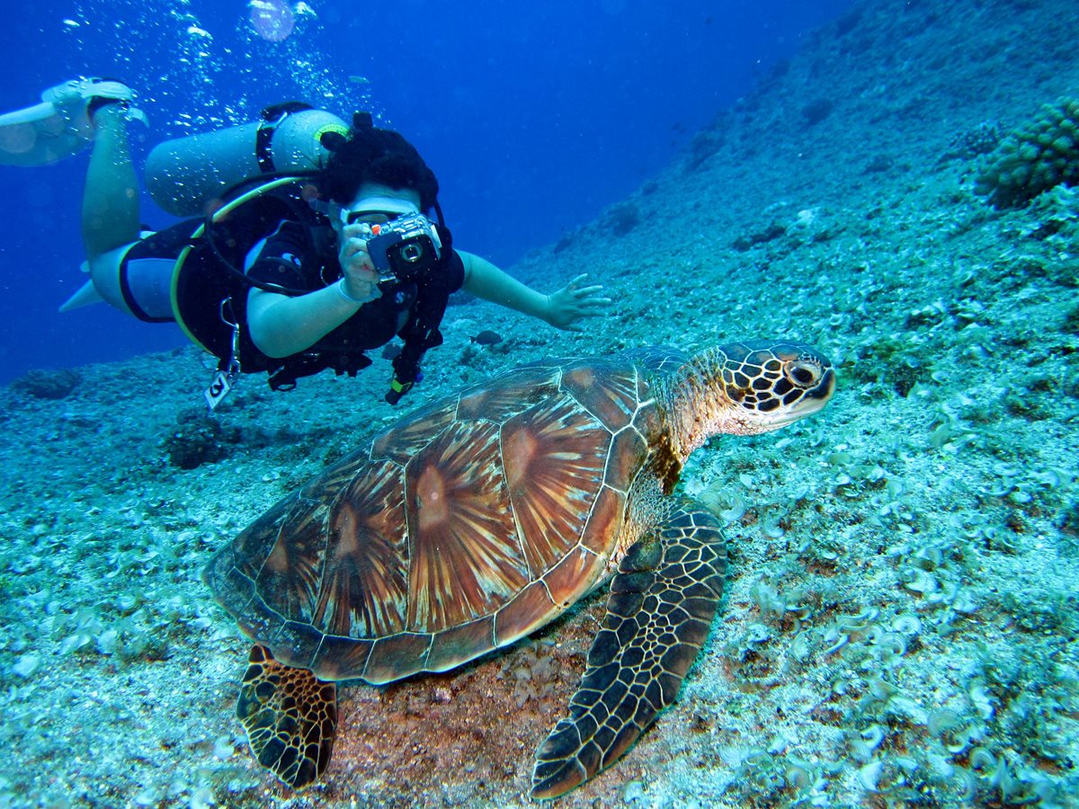 Scuba Antalya Scuba Antalya