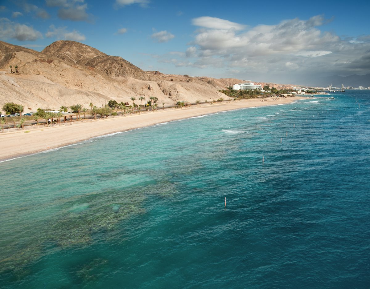 Marea Rosie - Sharm El Sheikh Marea Rosie - Sharm El Sheikh
