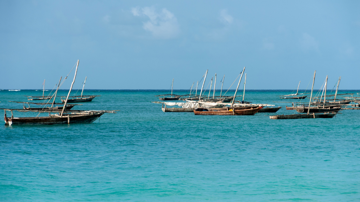 Barci - Nungwi