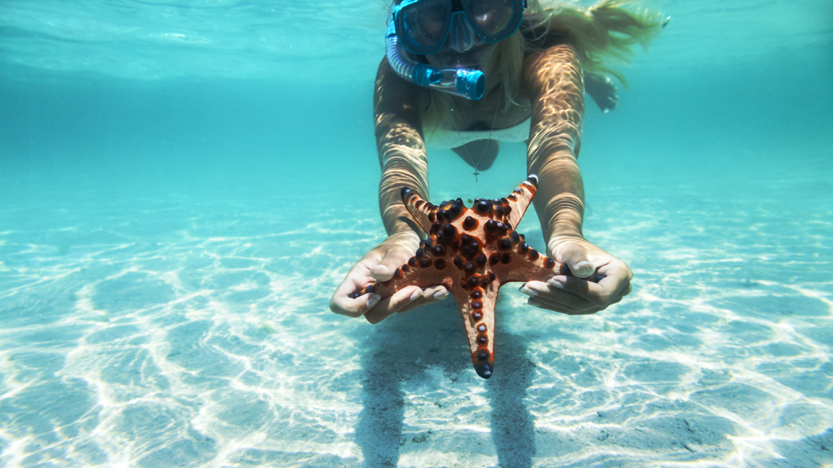 Snorkeling - Kendwa