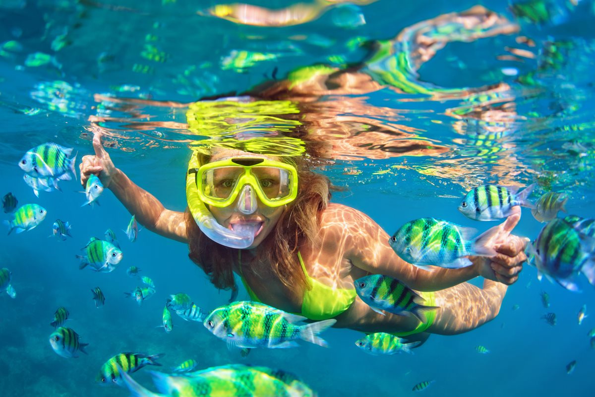 Snorkeling - Sydney