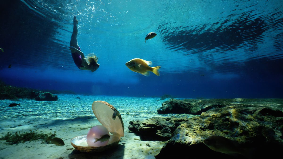 Snorkeling in Bahrain Snorkeling in Bahrain