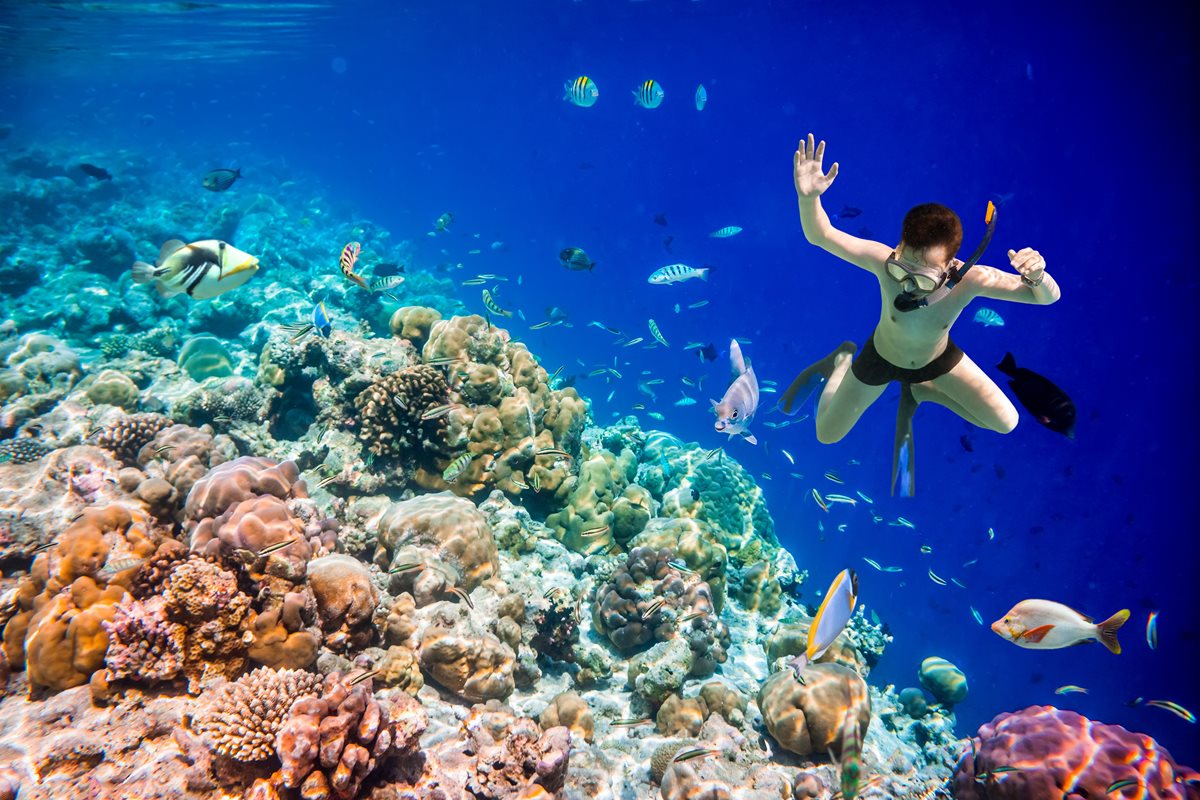 Snorkeling - Mellieha