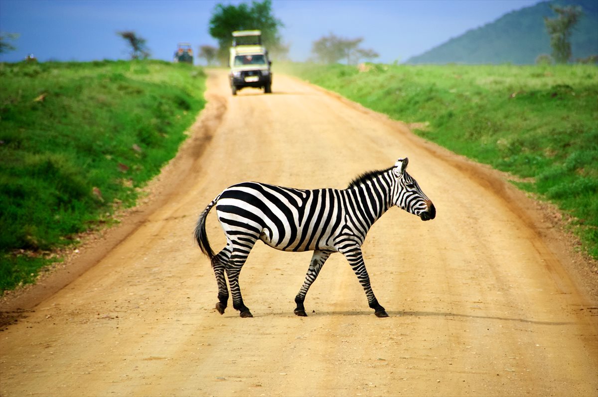 Pic 2 Kenya