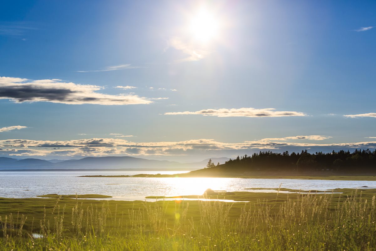 DuLoup Saint Lawrence - Quebec