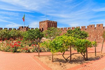 Silves, cetate