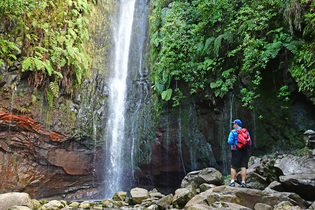 Risco - Madeira