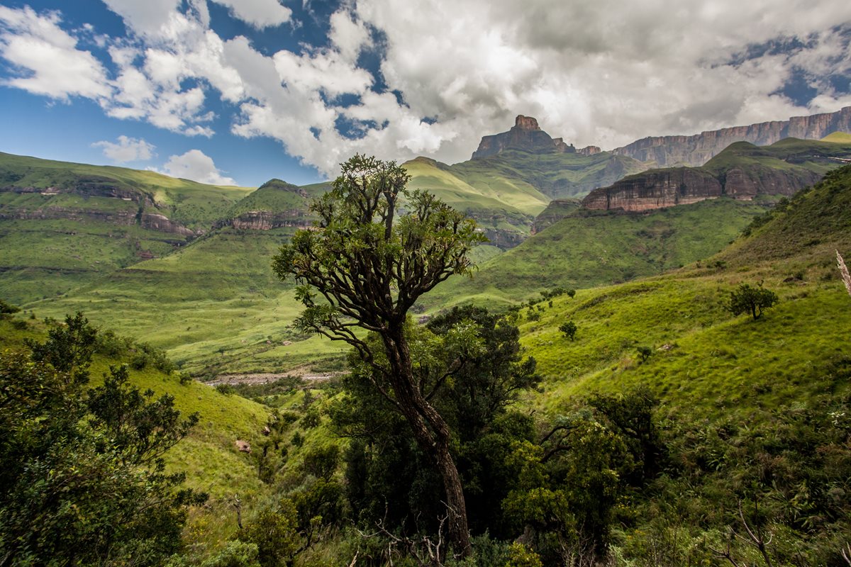 Drakensberg - Republica Sud Africana 
