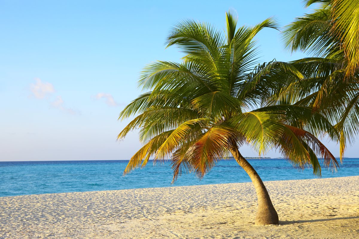 Plaja - Dhaalu Atoll