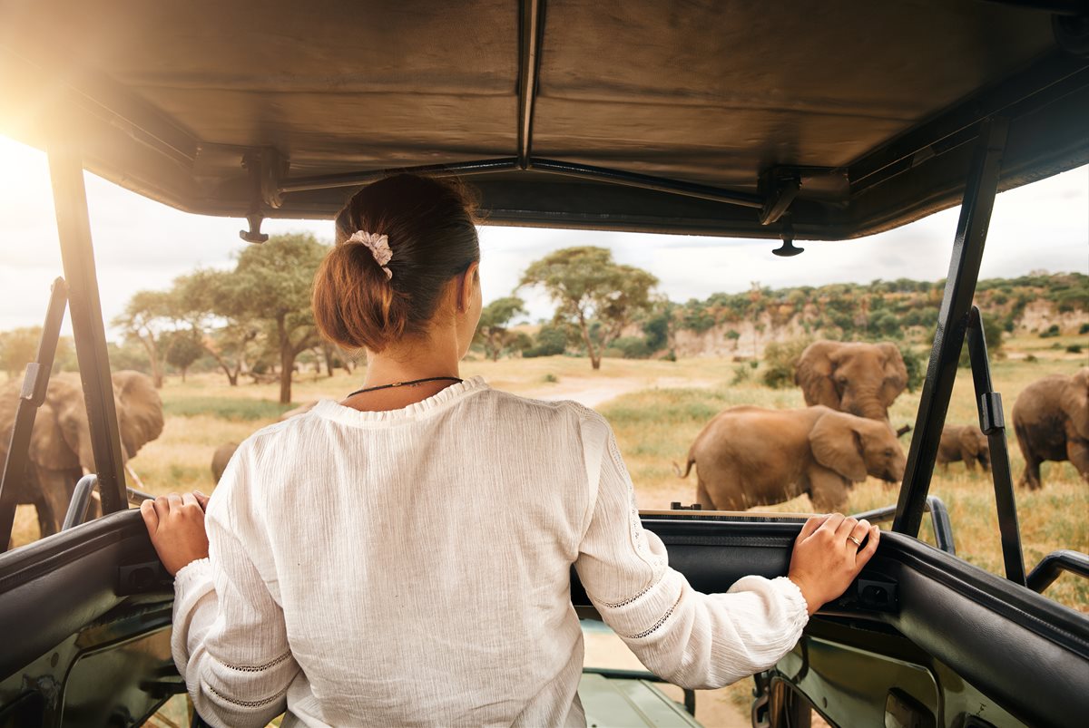 Safari - Kenya
