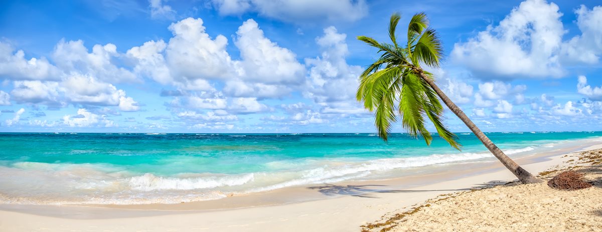 Punta Cana Punta Cana