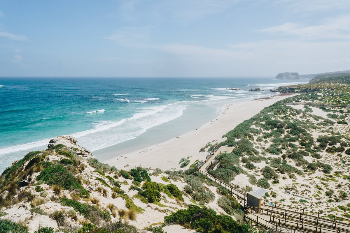 Insula Kangaroo - Australia