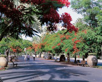 Strada in Santa Cruz