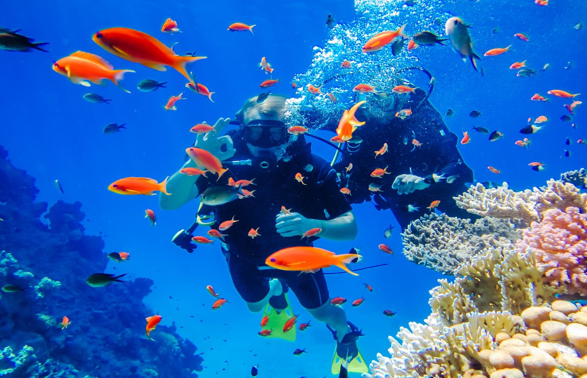 Scuba diving - Rhodos