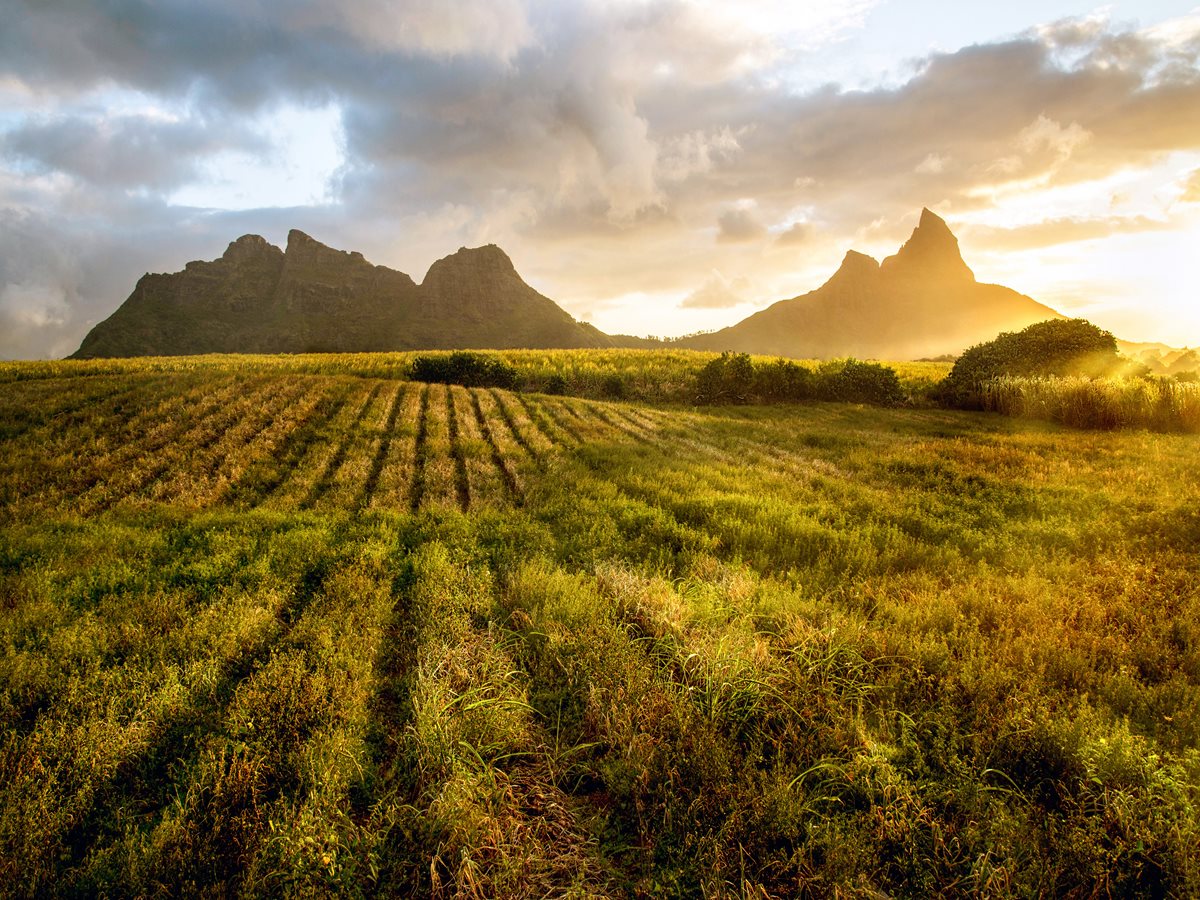 Mauritius - Trois Mamelles