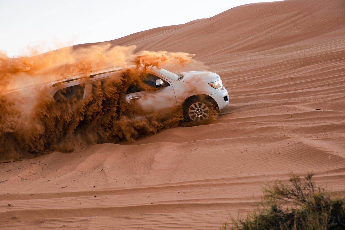 Desert safari