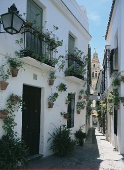 Orasul Cordoba 