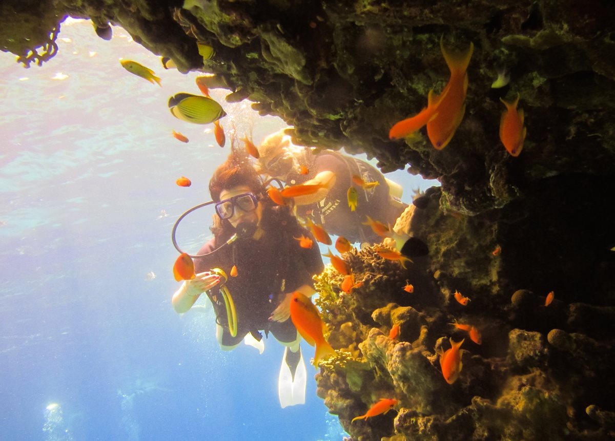 Scuba diving - Coasta Kenyana Scuba diving - Coasta Kenyana