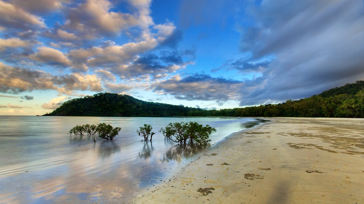 Cape Tribulation - Australia