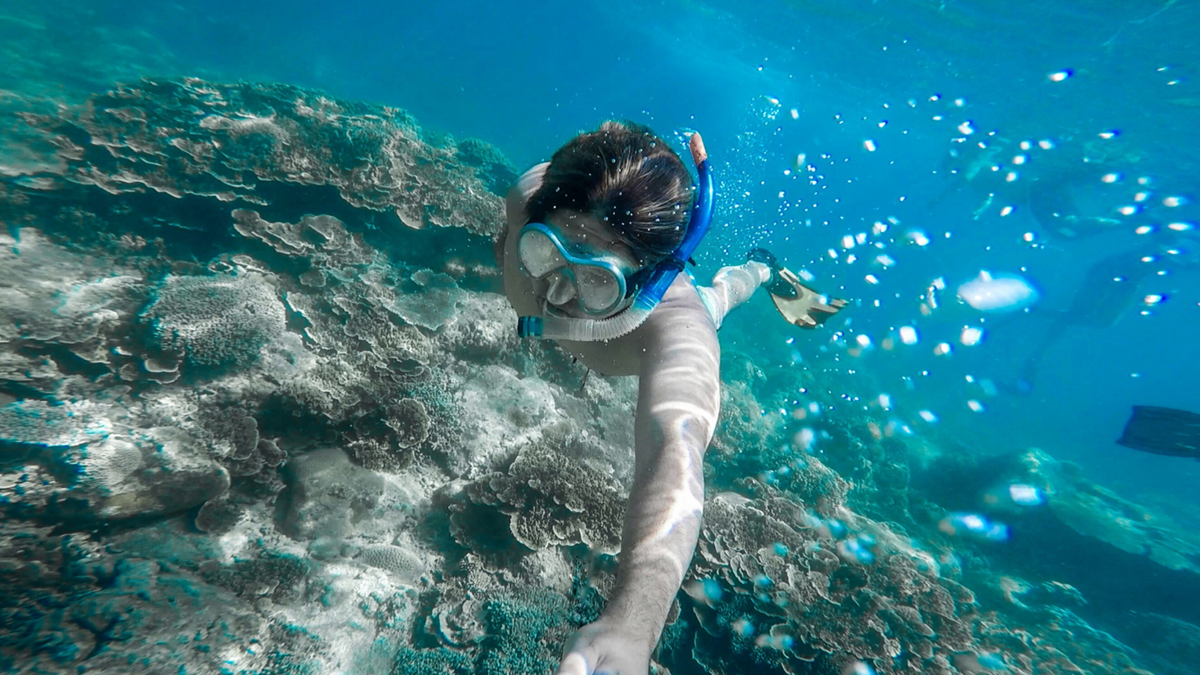 Snorkeling - Kammala