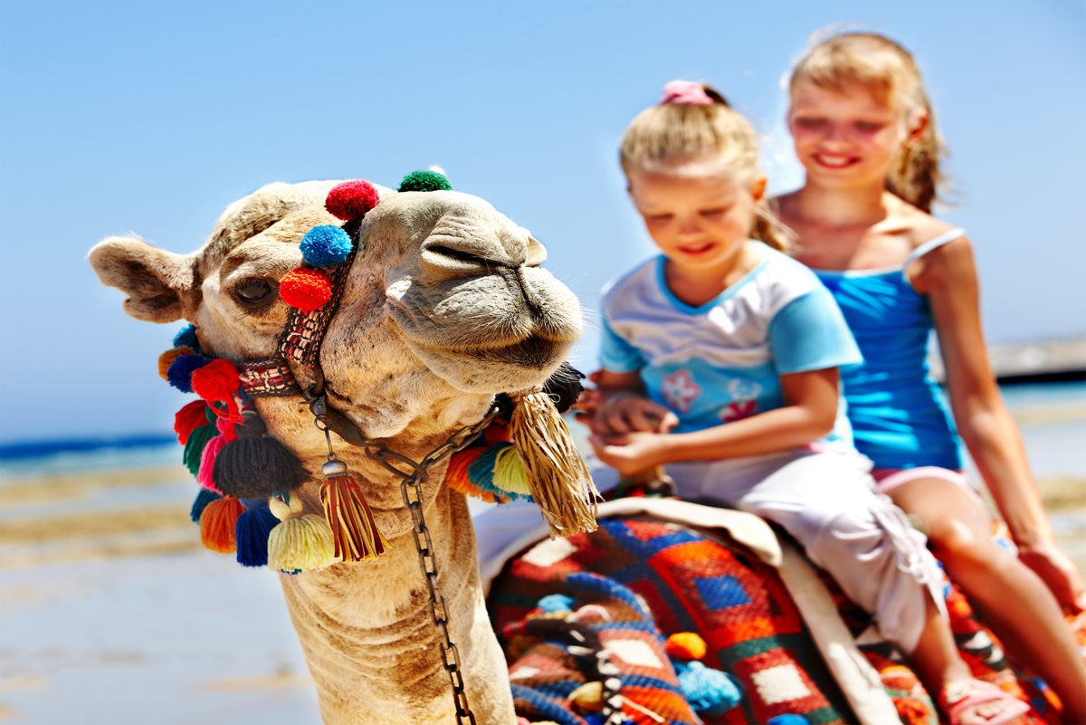 Plimbare cu camila - Aqaba