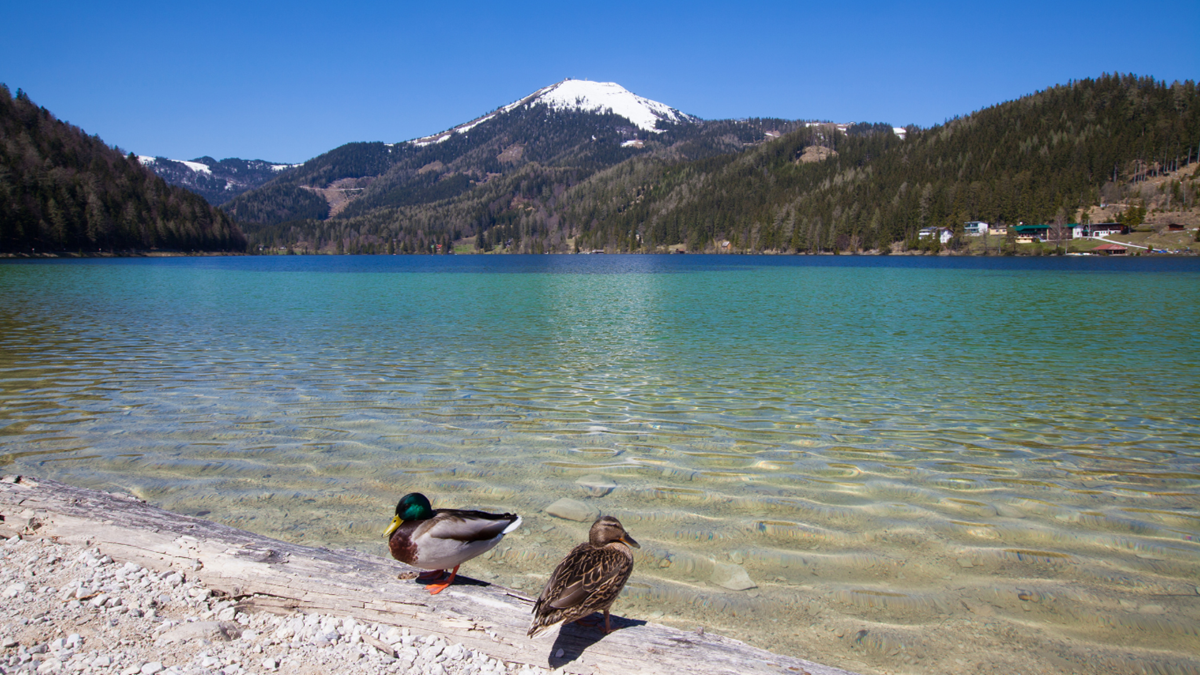 Erlaufsee - Austria Inferiora