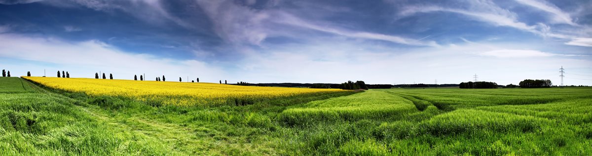 Brandenburg - Germania 