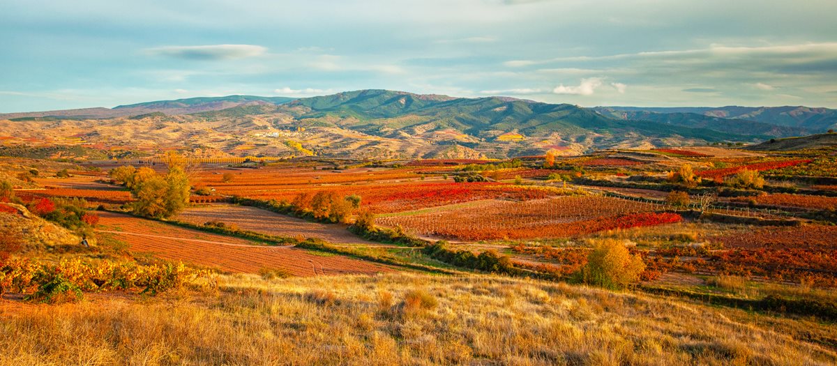 Rioja-Alavesa - Bilbao Rioja-Alavesa - Bilbao