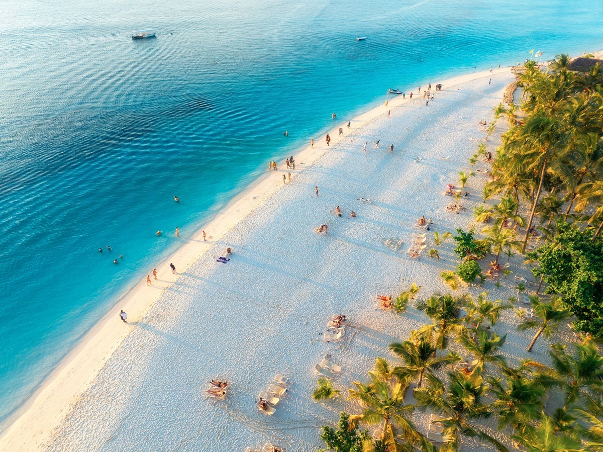 Top excursii optionale de neratat in Zanzibar (Safari Blue, Prison Island, Padurea Jozani)