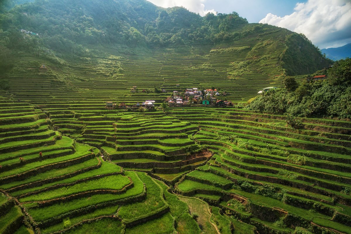 Terasele de orez din Banaue - Luzon