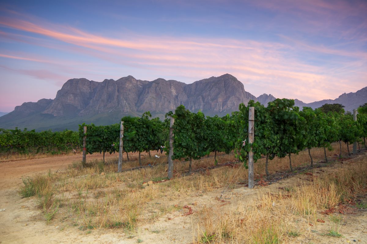 Cape Winelands - Republica Sud Africana 