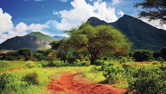 Parcul Național Tsavo Vest