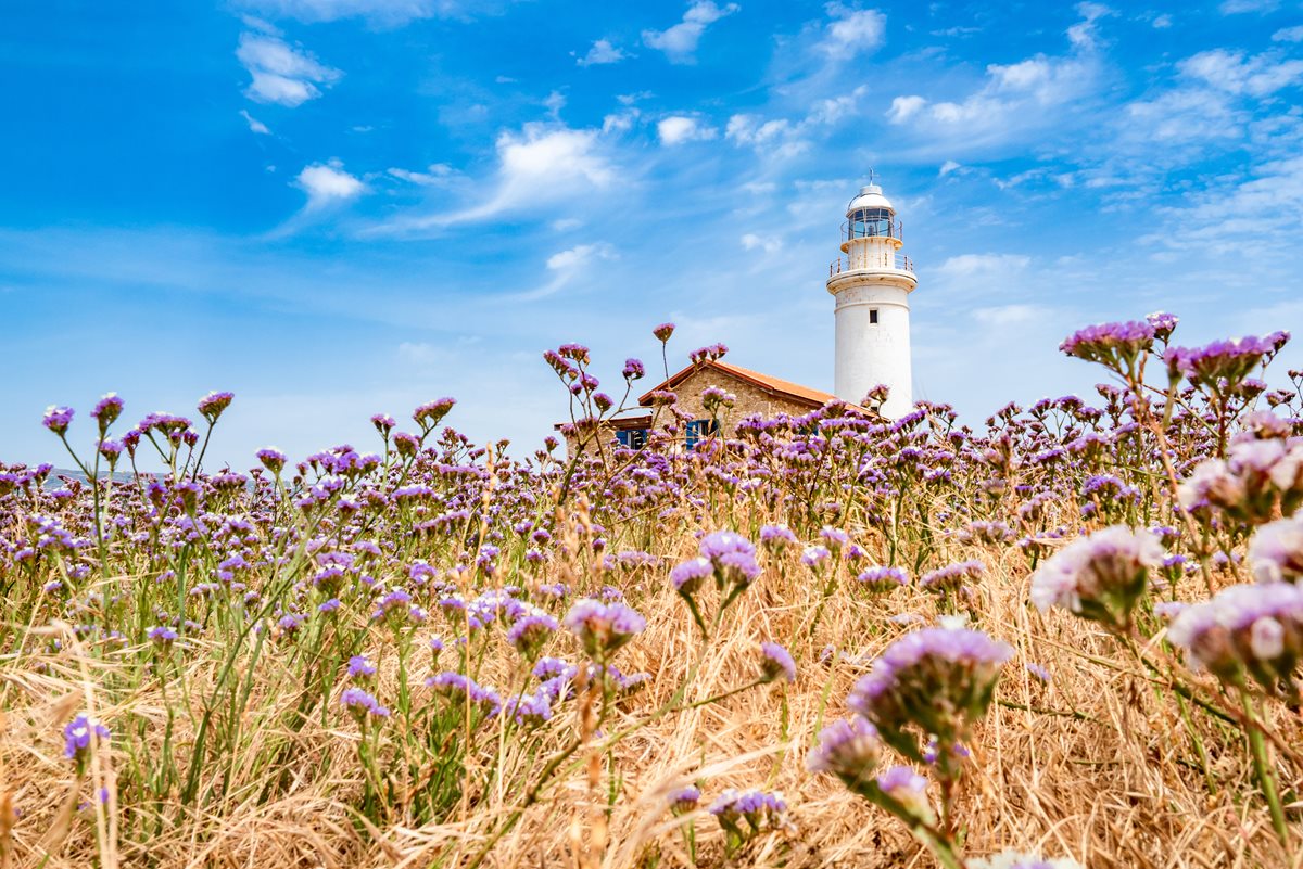 Far - Paphos