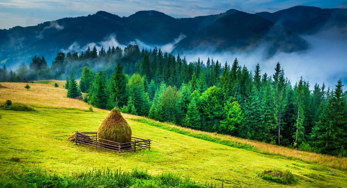 Peisaj de munte - Bucovina