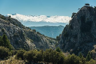 Lantul Muntos Sierra Nevada