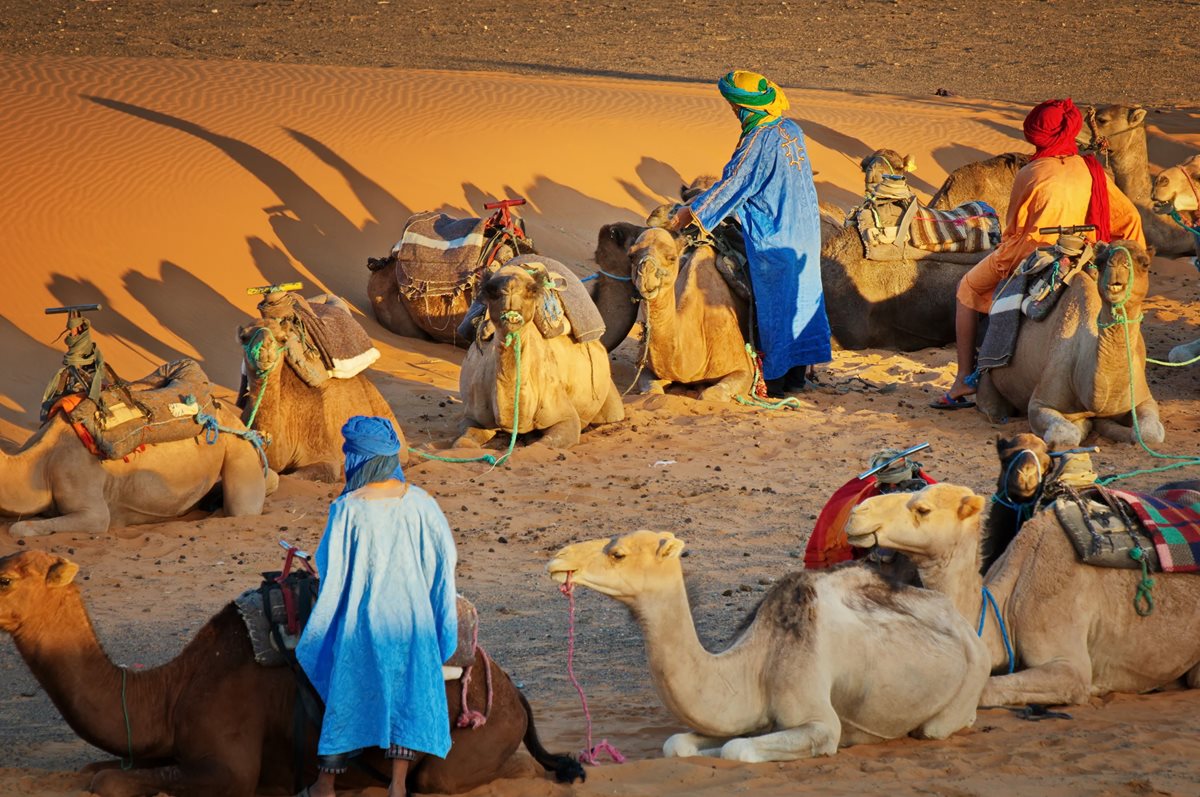 Sahara - Maroc Sahara - Maroc