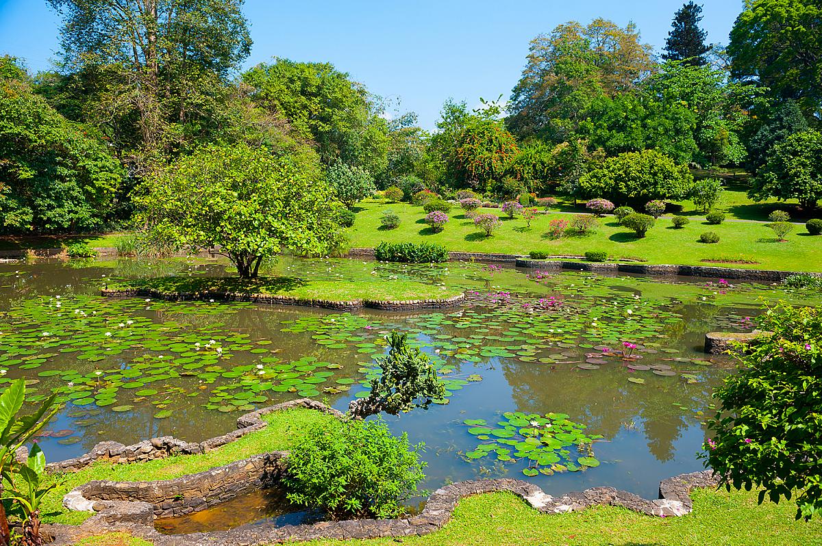 Gradinile Botanice Regale Peradeniya din Kandy