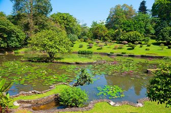 Gradinile Botanice Regale Peradeniya din Kandy