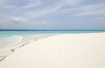 Prison Island in Zanzibar