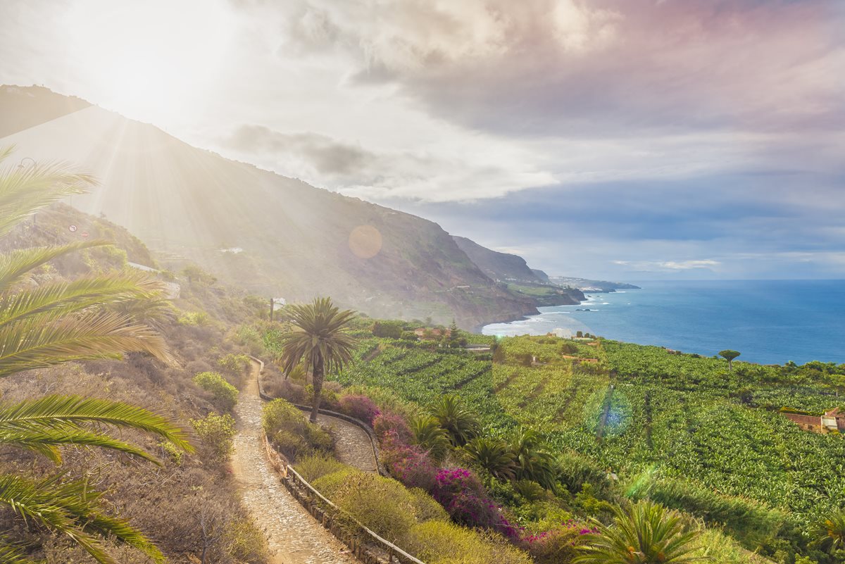 Coasta de nord Tenerife Coasta de nord Tenerife