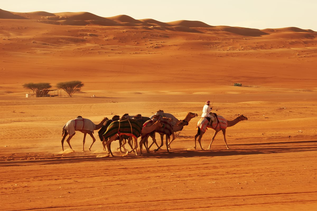 Desertul Wahiba Sands- Oman