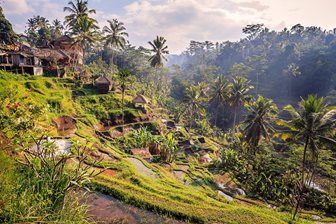 Ubud, imprejurimi