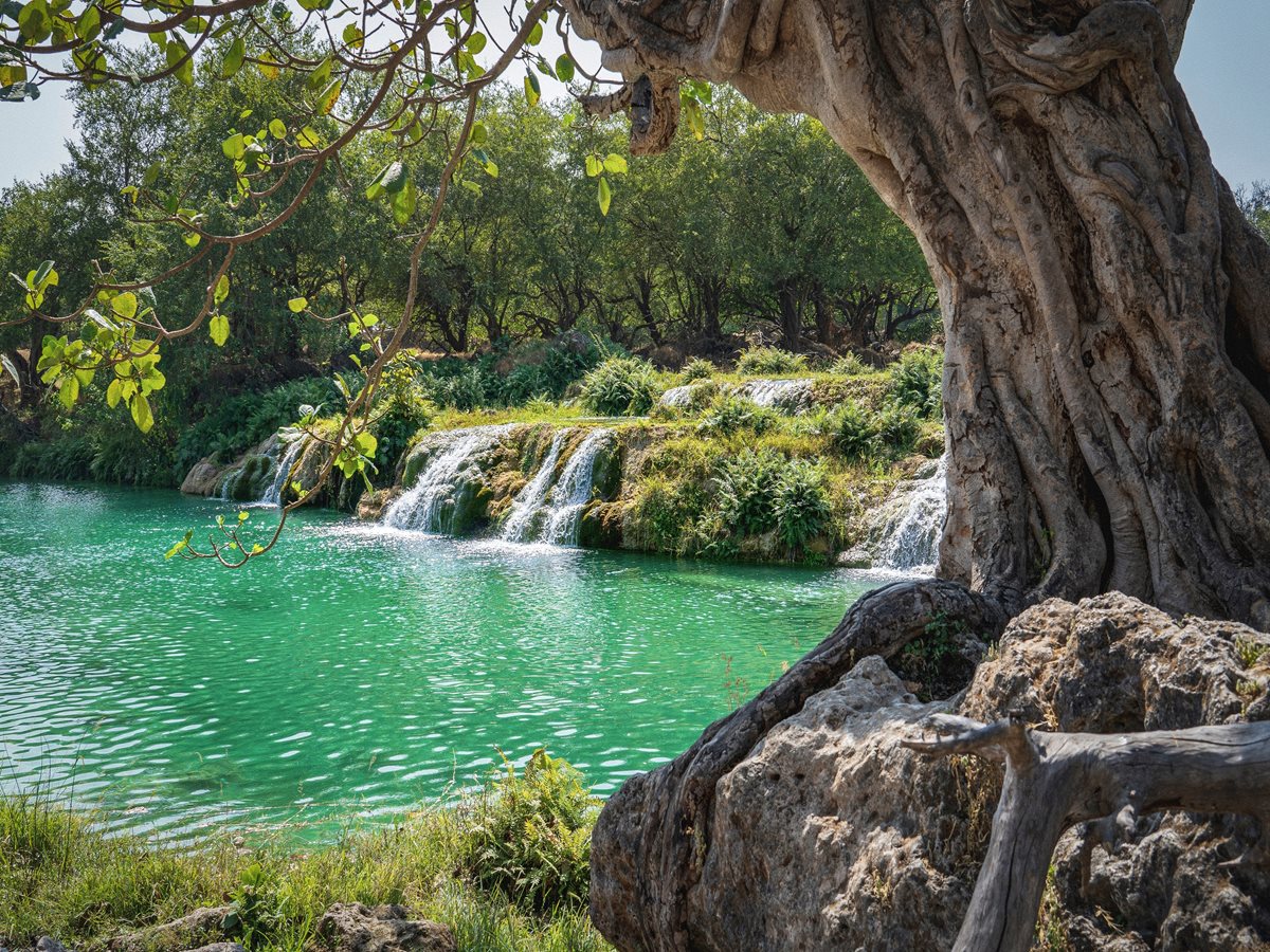 Wadi Darbat - Oman 