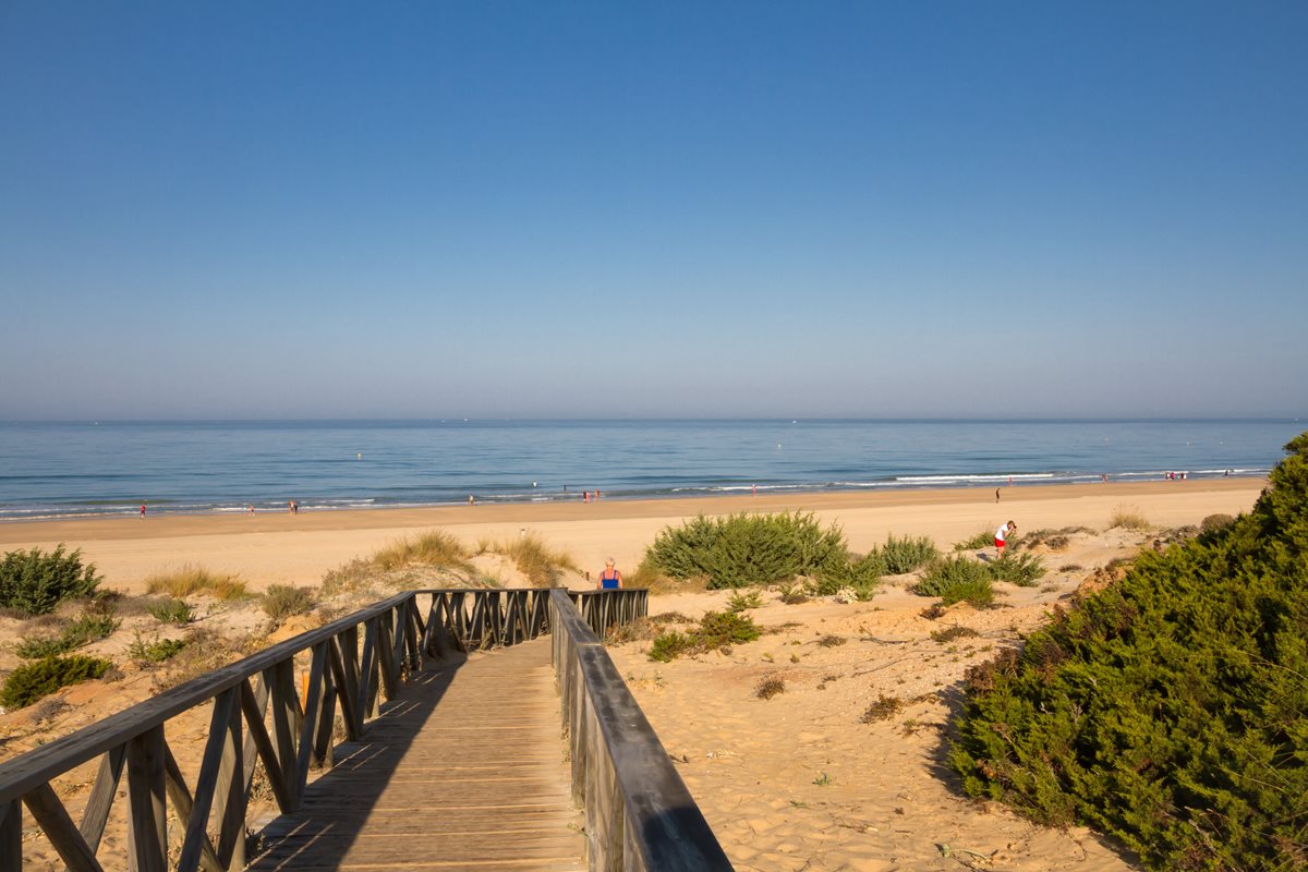Barrosa - Costa de la Luz Barrosa - Costa de la Luz