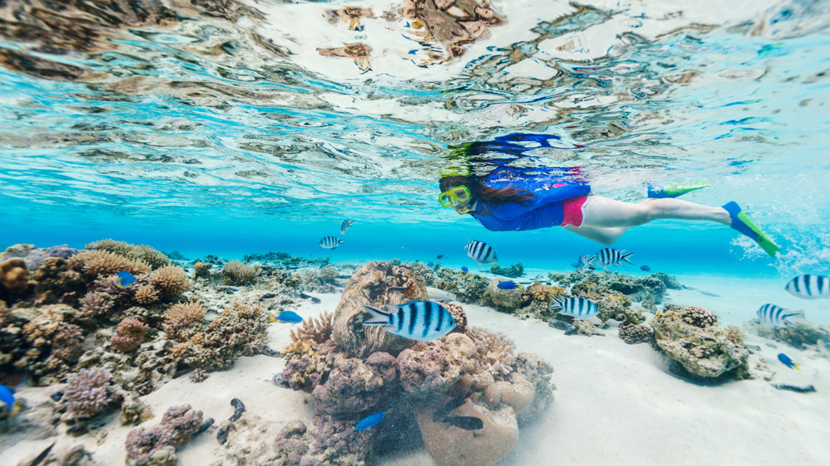 Snorkeling - Nungwi