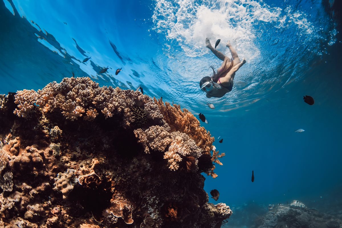 Snorkeling - Costa Almeria