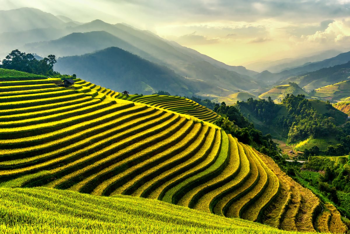 Terasele de orez din Vietnam