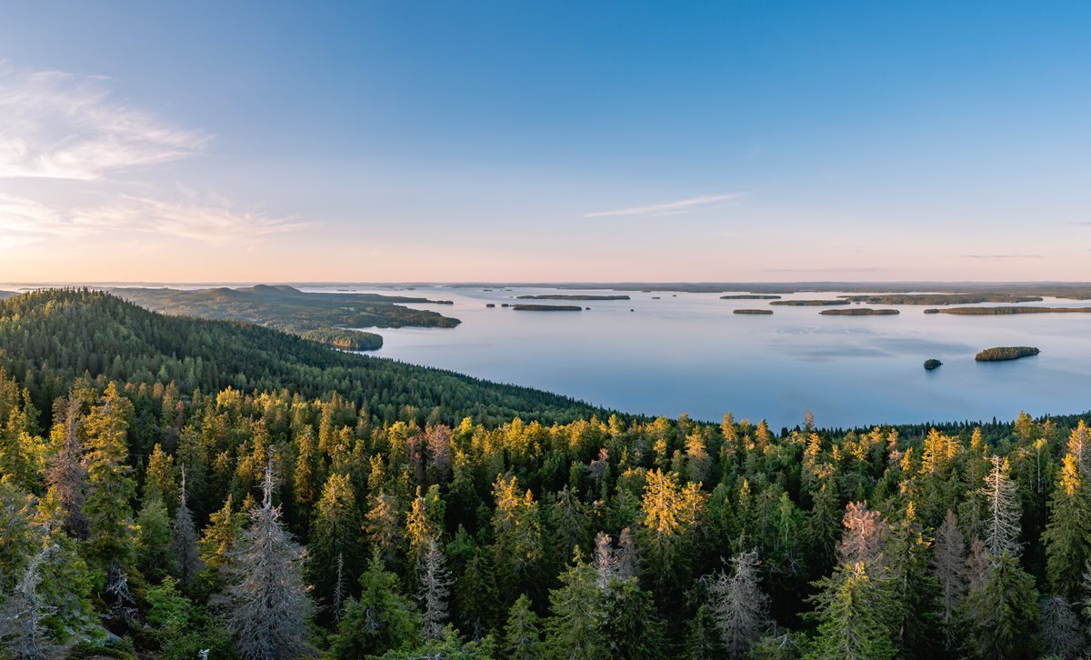Parcul National Koli - Finlanda Parcul National Koli - Finlanda